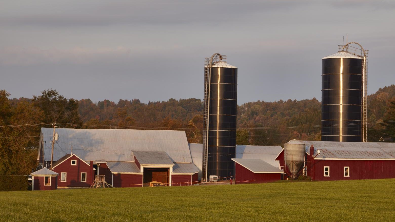 A New Hampshire family dairy farm with red barns and two silos above a green field.